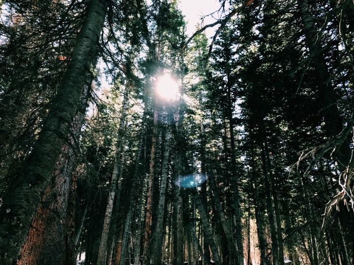 Processed with VSCO with c1 preset